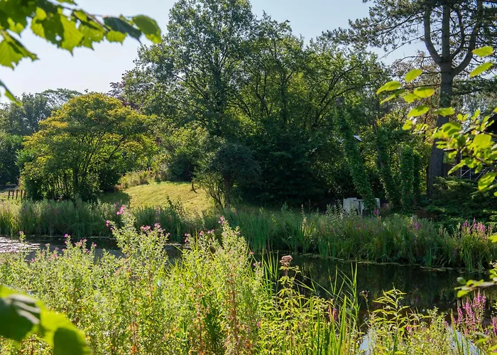 Loohuisje 43 Сasa de vacaciones