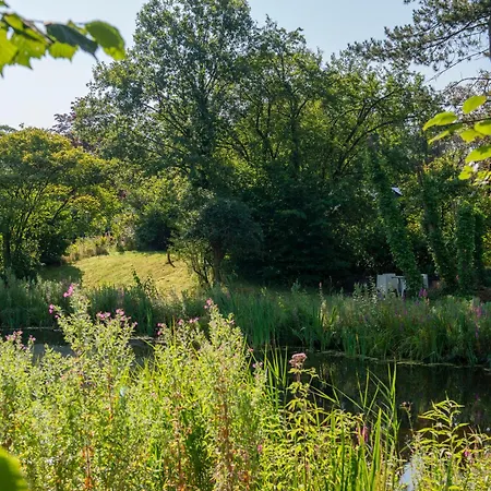 Loohuisje 43 Дом отдыха